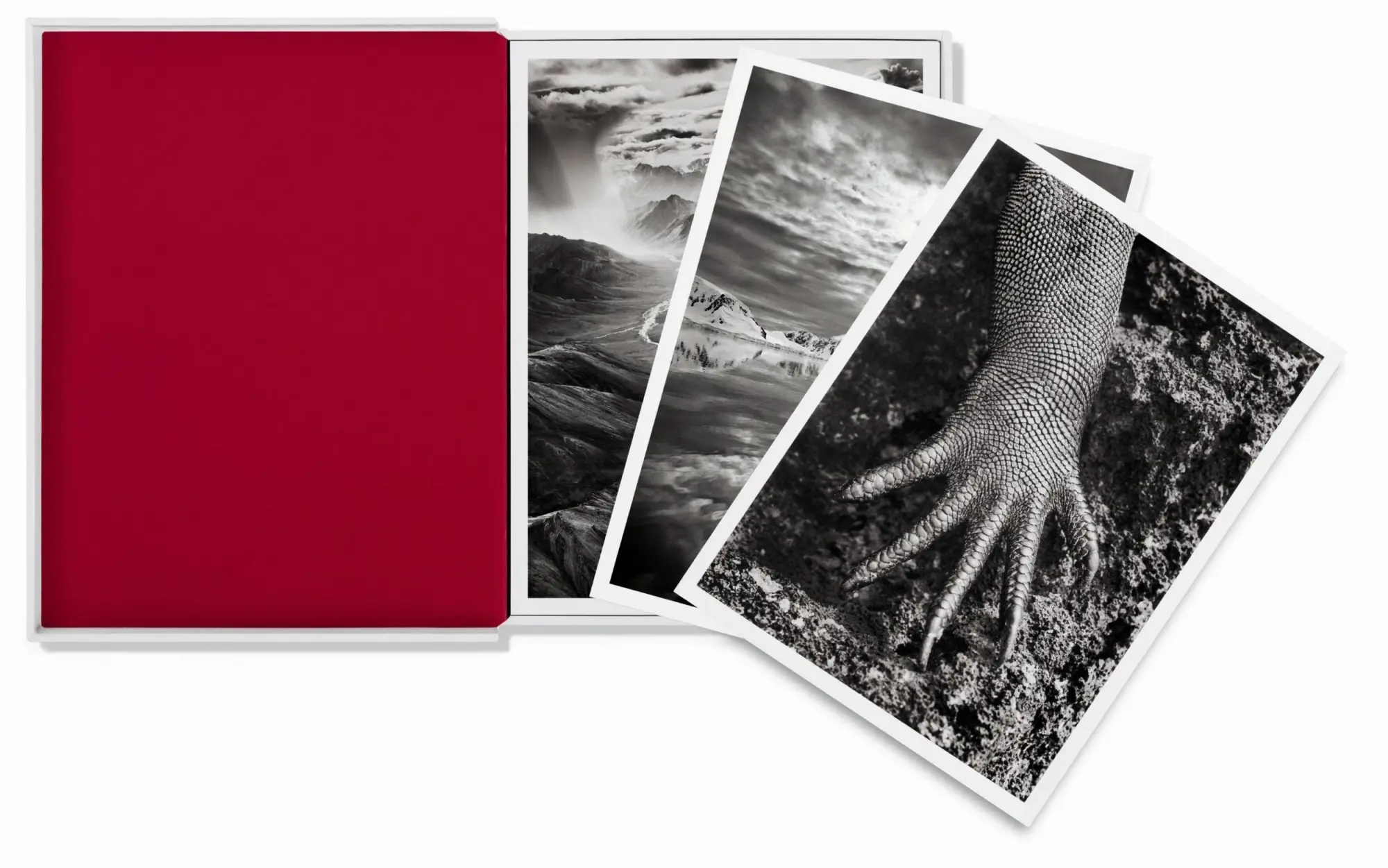 Bild: 9783836548014 | Sebastião Salgado. GENESIS. Postcard Set | Sebastiao Salgado | Buch