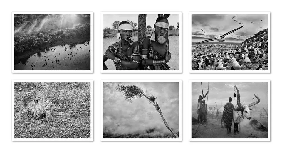 Bild: 9783836548014 | Sebastião Salgado. GENESIS. Postcard Set | Sebastiao Salgado | Buch