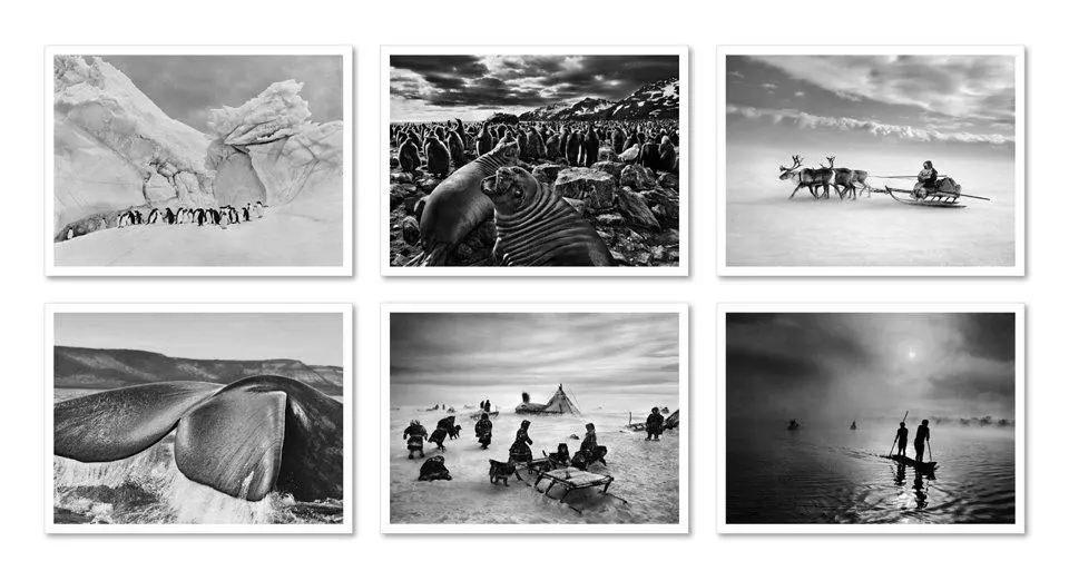 Bild: 9783836548014 | Sebastião Salgado. GENESIS. Postcard Set | Sebastiao Salgado | Buch