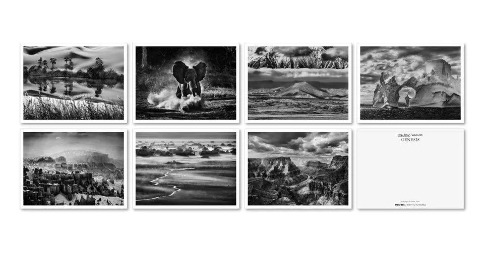 Bild: 9783836548014 | Sebastião Salgado. GENESIS. Postcard Set | Sebastiao Salgado | Buch