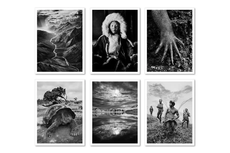 Bild: 9783836548014 | Sebastião Salgado. GENESIS. Postcard Set | Sebastiao Salgado | Buch