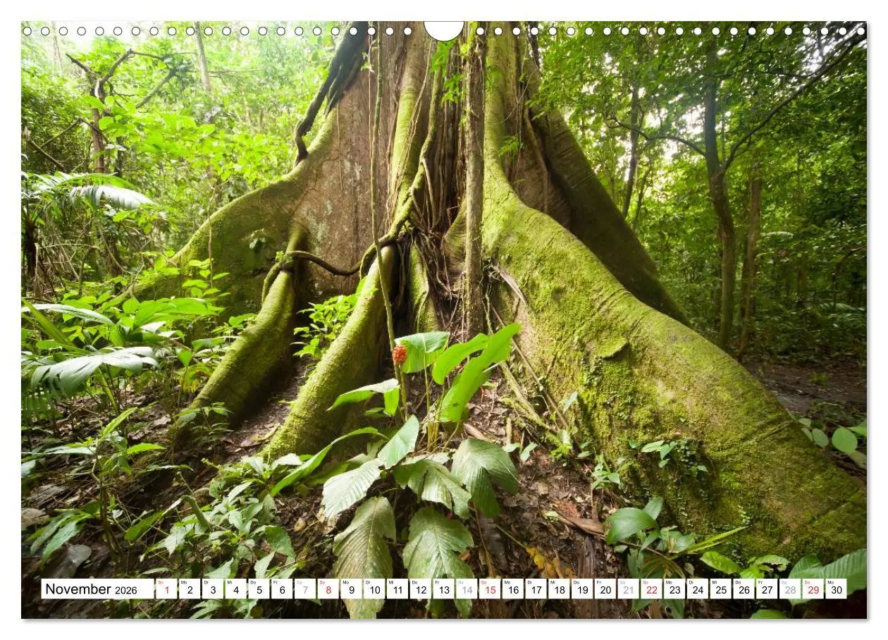 Bild: 9783457298114 | Costa Rica (Wandkalender 2026 DIN A3 quer), CALVENDO Monatskalender
