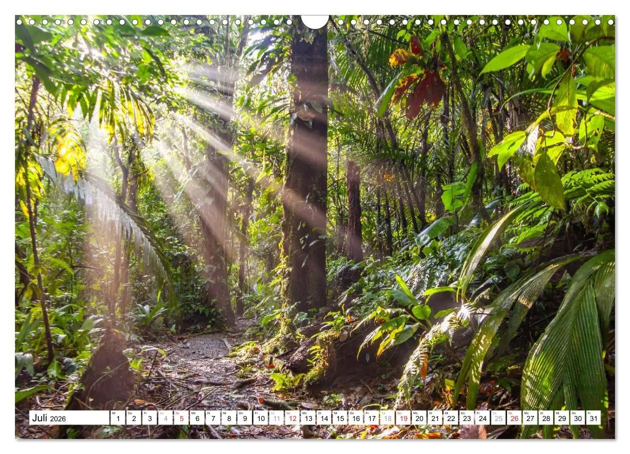 Bild: 9783457298114 | Costa Rica (Wandkalender 2026 DIN A3 quer), CALVENDO Monatskalender