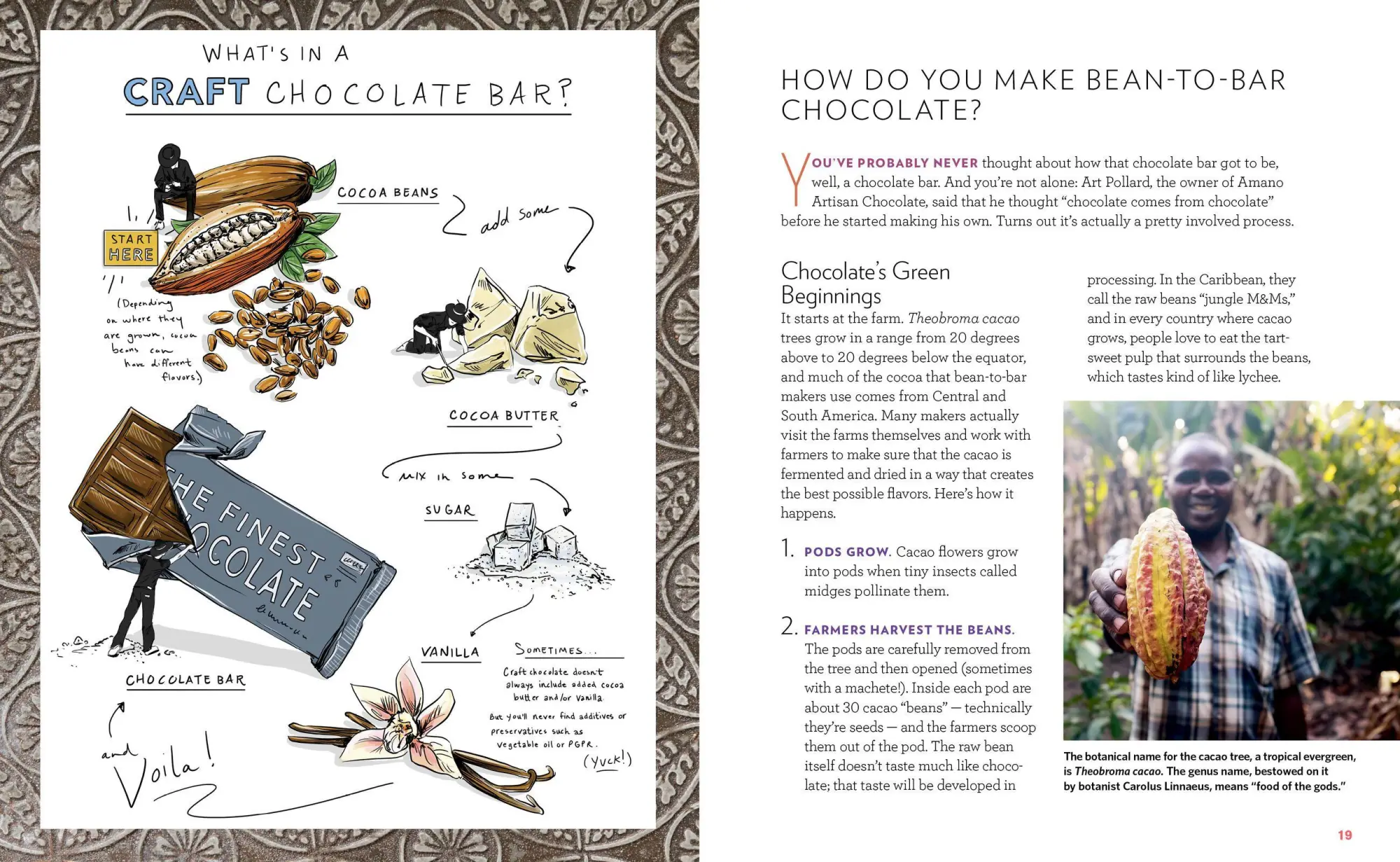 Bild: 9781612128214 | Bean-To-Bar Chocolate | Megan Giller | Buch | Gebunden | Englisch