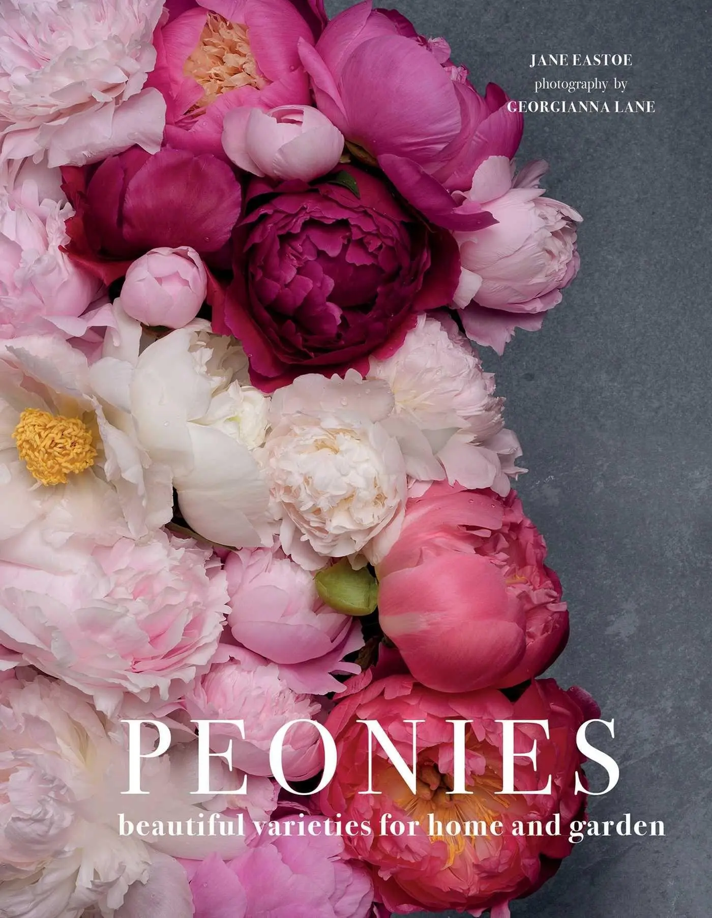 Cover: 9781423648314 | Peonies | Beautiful Varieties for Home &amp; Garden | Jane Eastoe | Buch