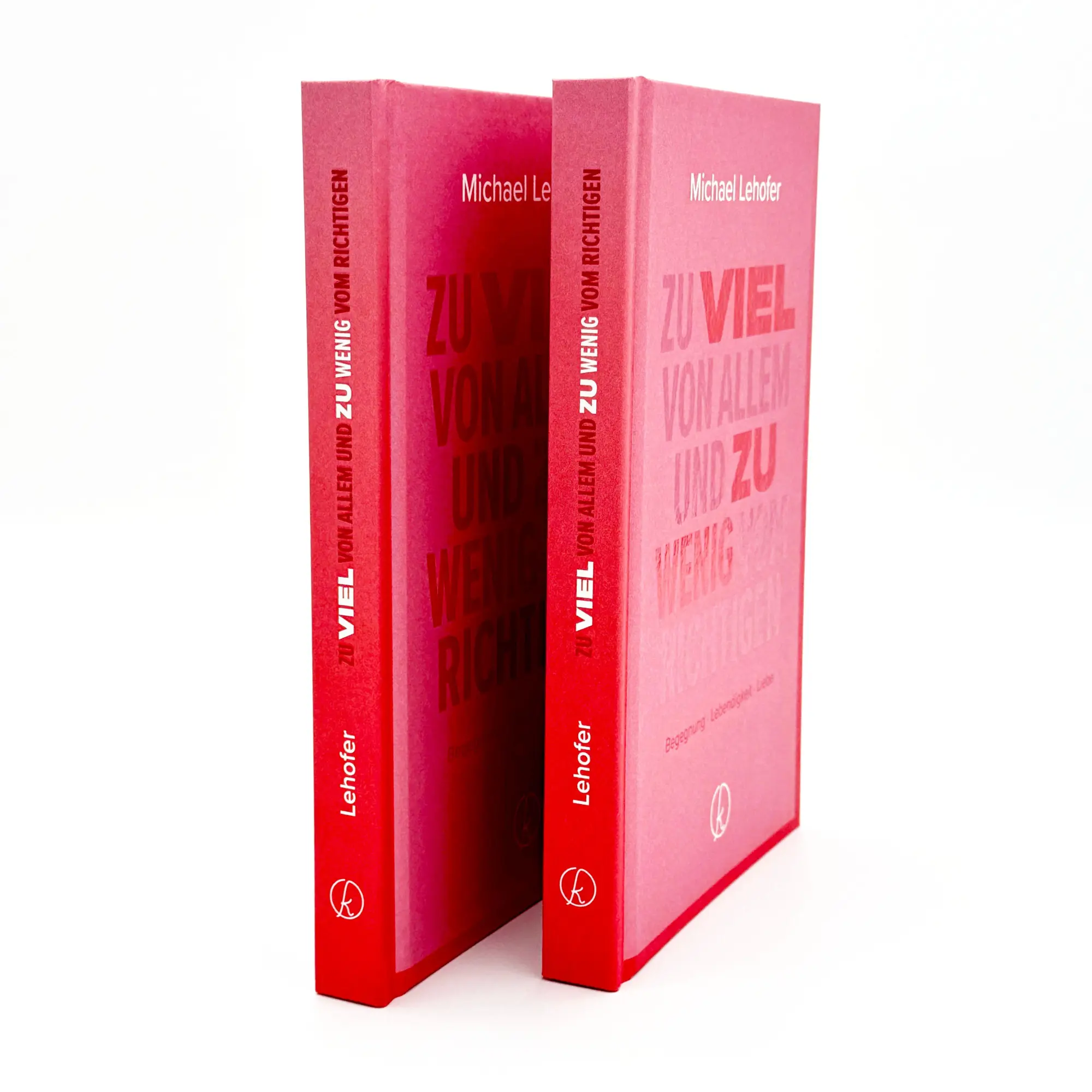 Bild: 9783708808314 | Zu viel von Allem und zu wenig vom Richtigen | Michael Lehofer | Buch