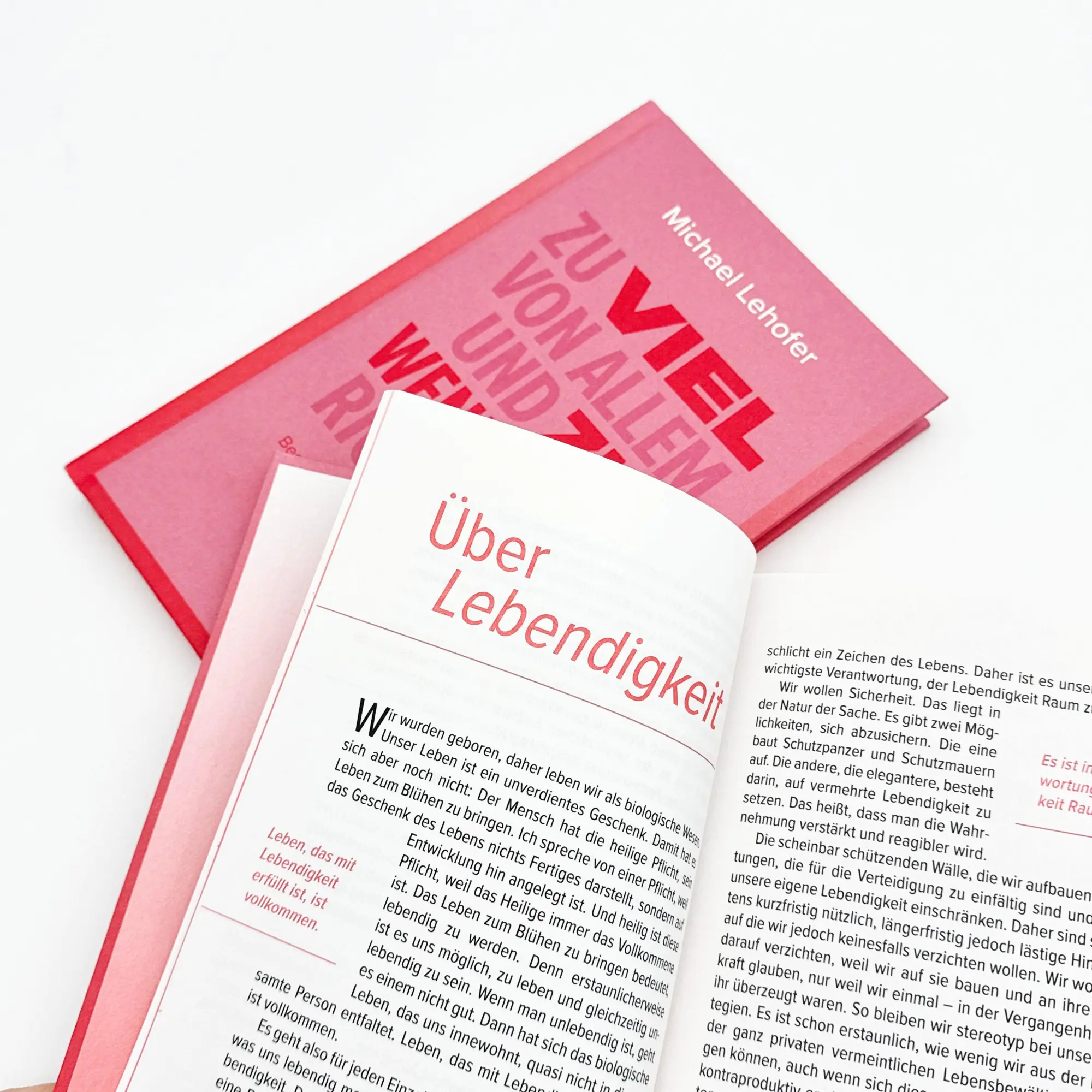 Bild: 9783708808314 | Zu viel von Allem und zu wenig vom Richtigen | Michael Lehofer | Buch