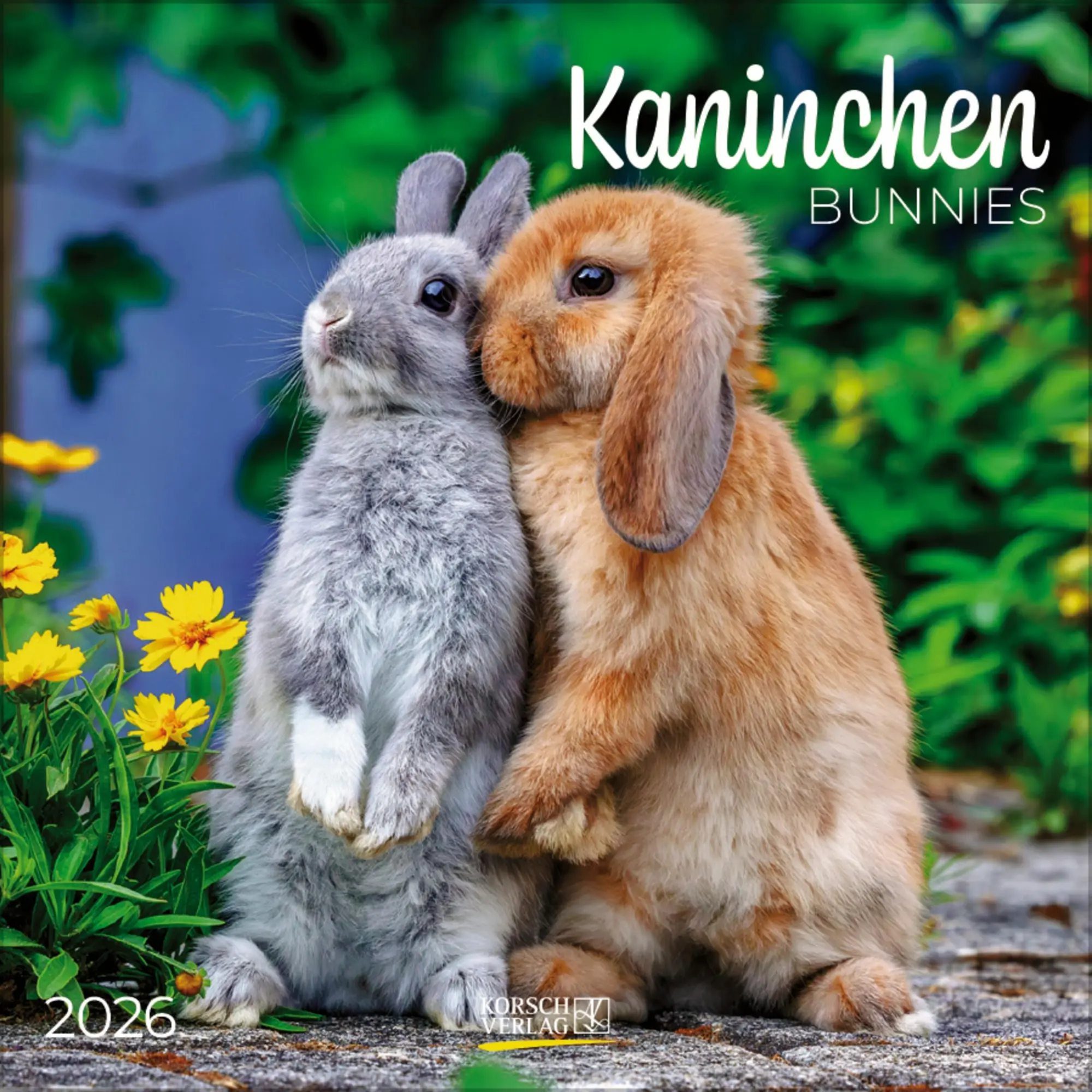 Cover: 9783731888314 | Kaninchen 2026 | Verlag Korsch | Kalender | 13 S. | Deutsch | 2026