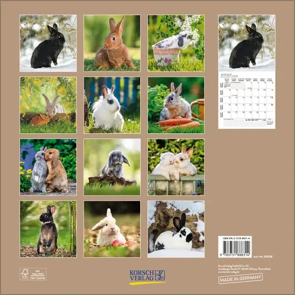 Bild: 9783731888314 | Kaninchen 2026 | Verlag Korsch | Kalender | 13 S. | Deutsch | 2026