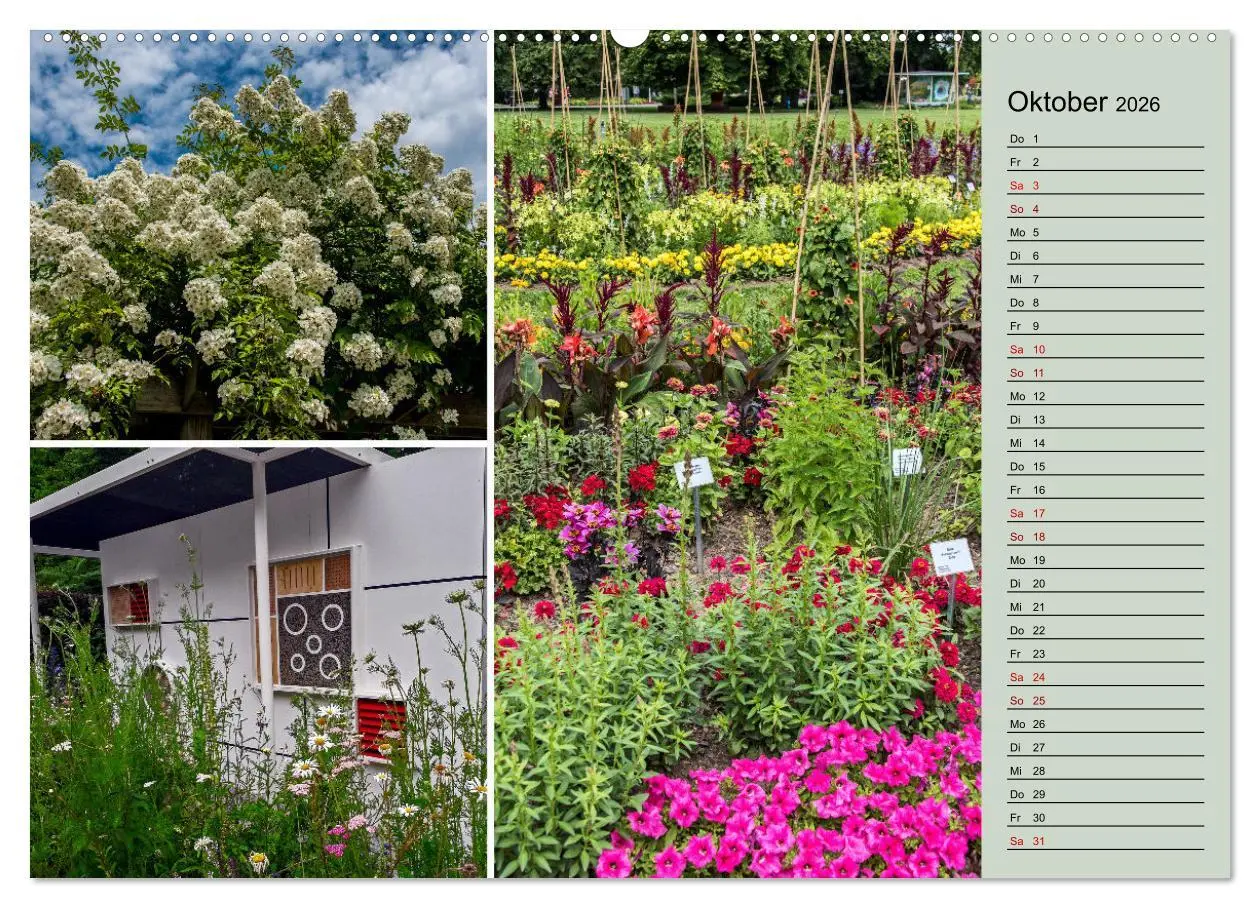 Bild: 9783457578414 | Gartenschau in Erfurt (Wandkalender 2026 DIN A2 quer), CALVENDO...