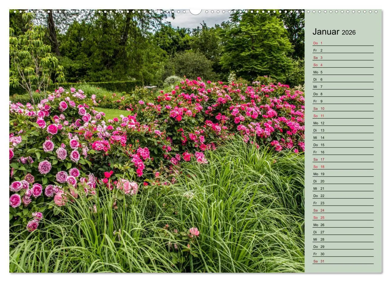Bild: 9783457578414 | Gartenschau in Erfurt (Wandkalender 2026 DIN A2 quer), CALVENDO...
