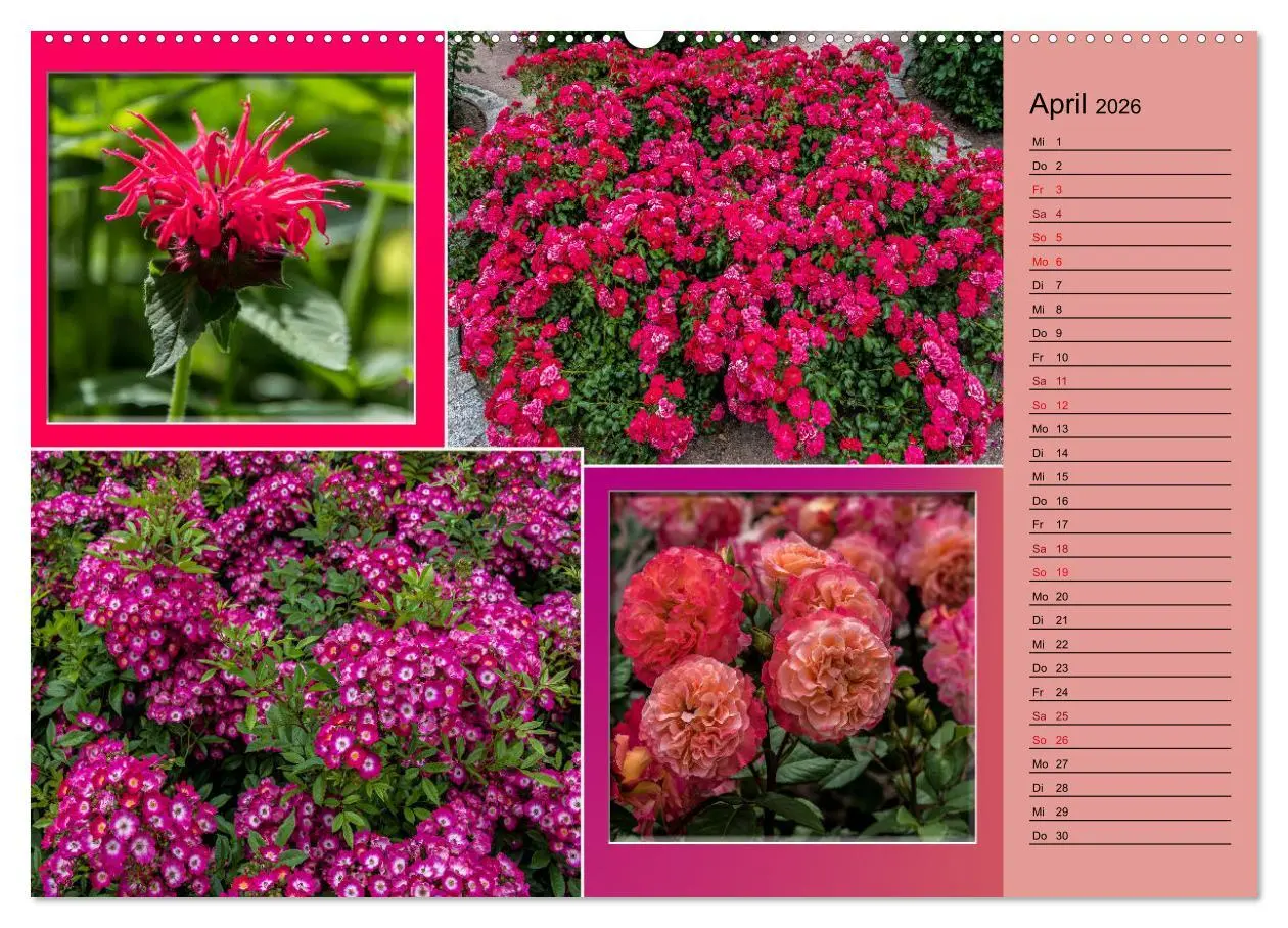Bild: 9783457578414 | Gartenschau in Erfurt (Wandkalender 2026 DIN A2 quer), CALVENDO...