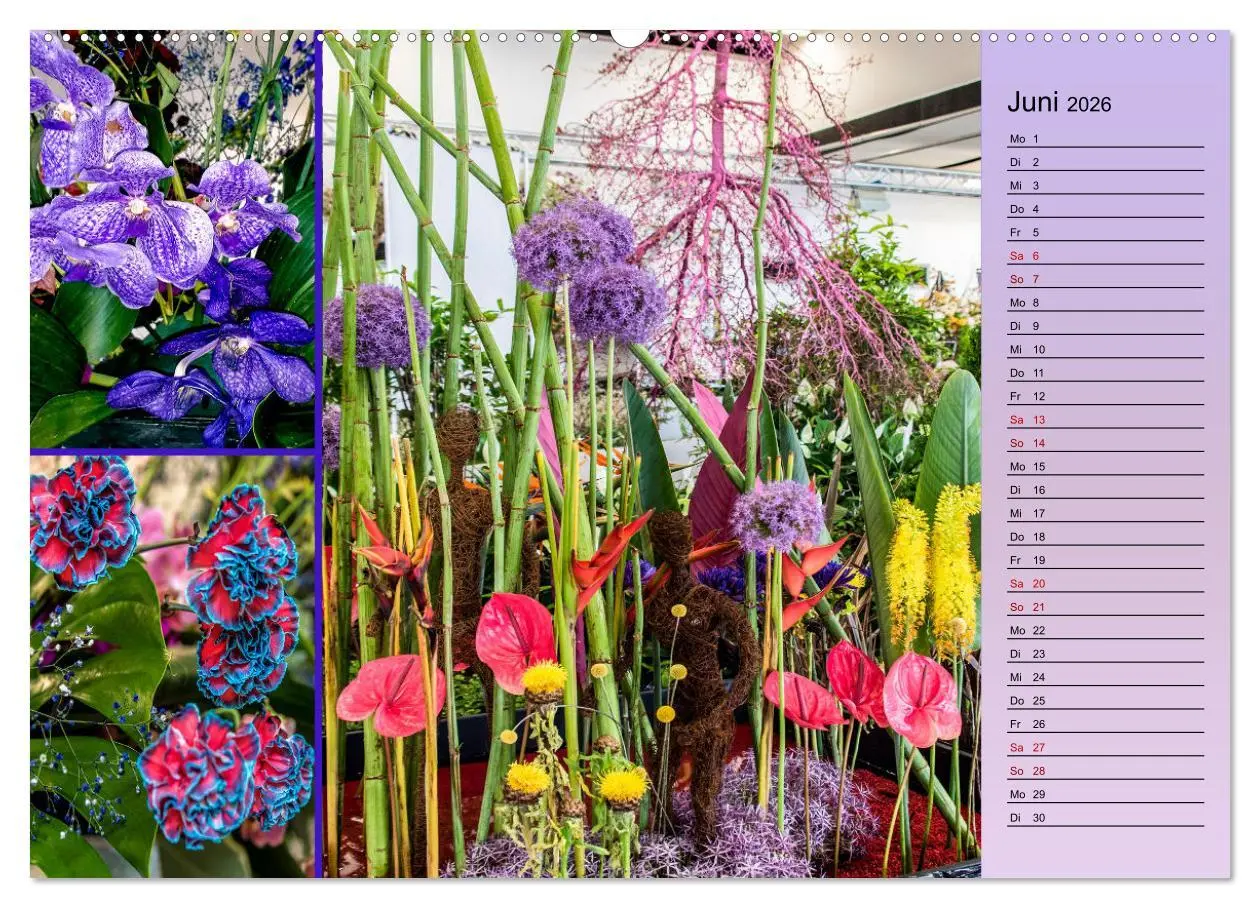 Bild: 9783457578414 | Gartenschau in Erfurt (Wandkalender 2026 DIN A2 quer), CALVENDO...