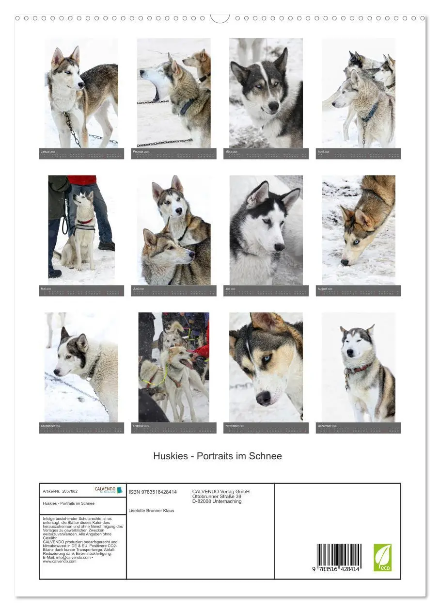 Bild: 9783516428414 | Huskies - Portraits im Schnee (hochwertiger Premium Wandkalender...