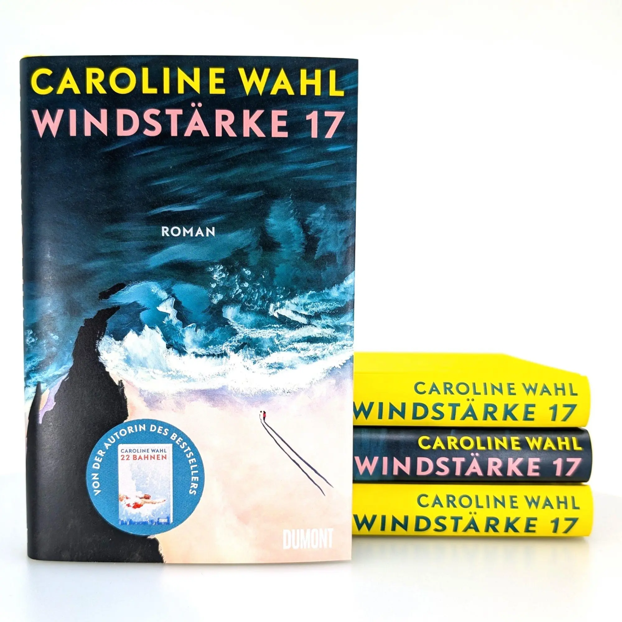 Bild: 9783832168414 | Windstärke 17 | Caroline Wahl | Buch | 256 S. | Deutsch | 2024
