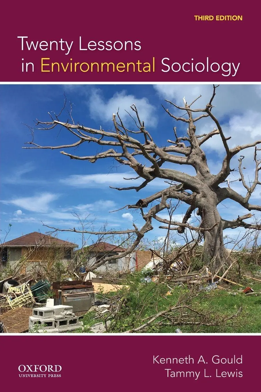 Cover: 9780190088514 | Twenty Lessons in Environmental Sociology | Kenneth A. Gould (u. a.)