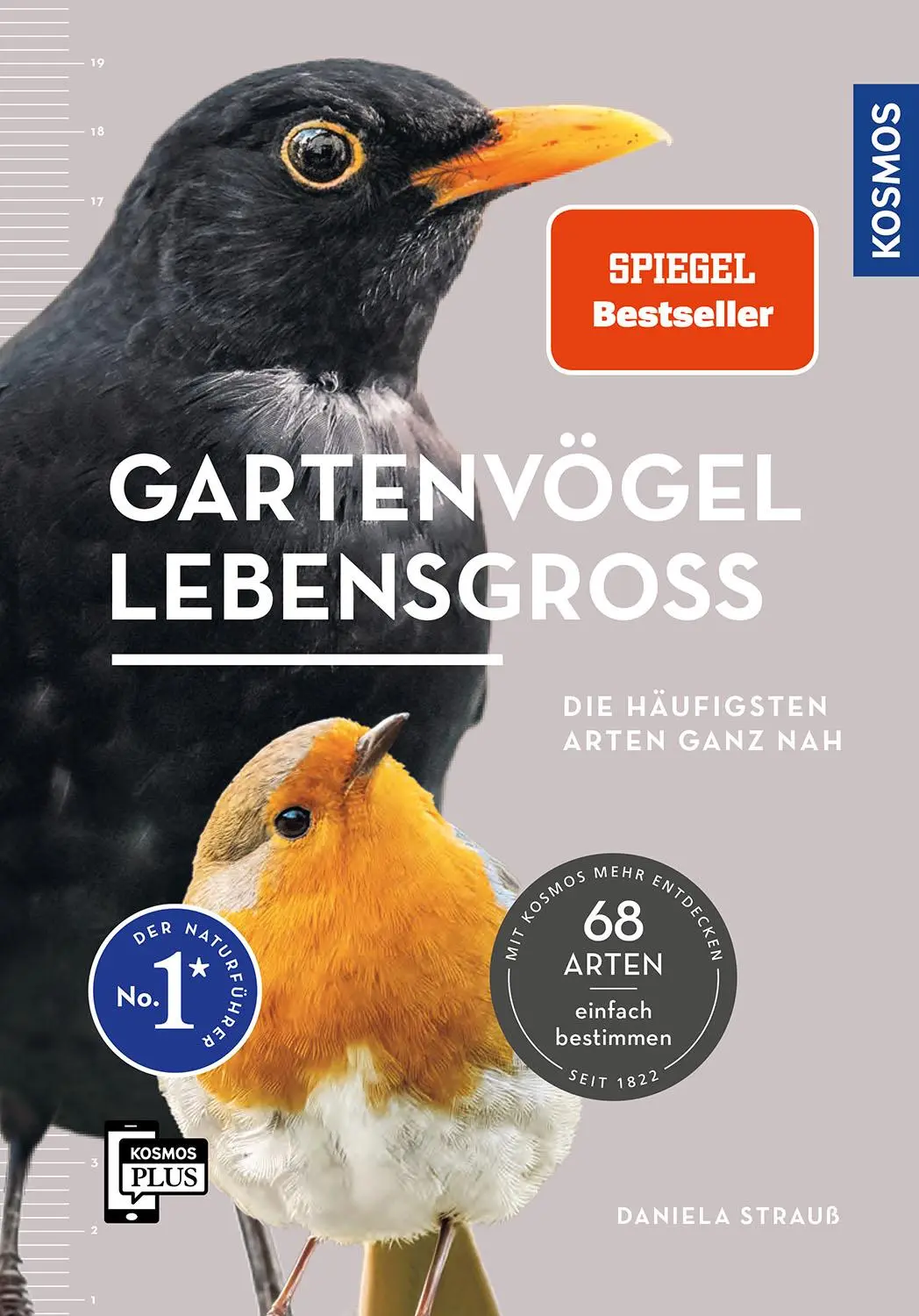 Cover: 9783440178614 | Gartenvögel lebensgroß | Daniela Strauß | Taschenbuch | 128 S. | 2024