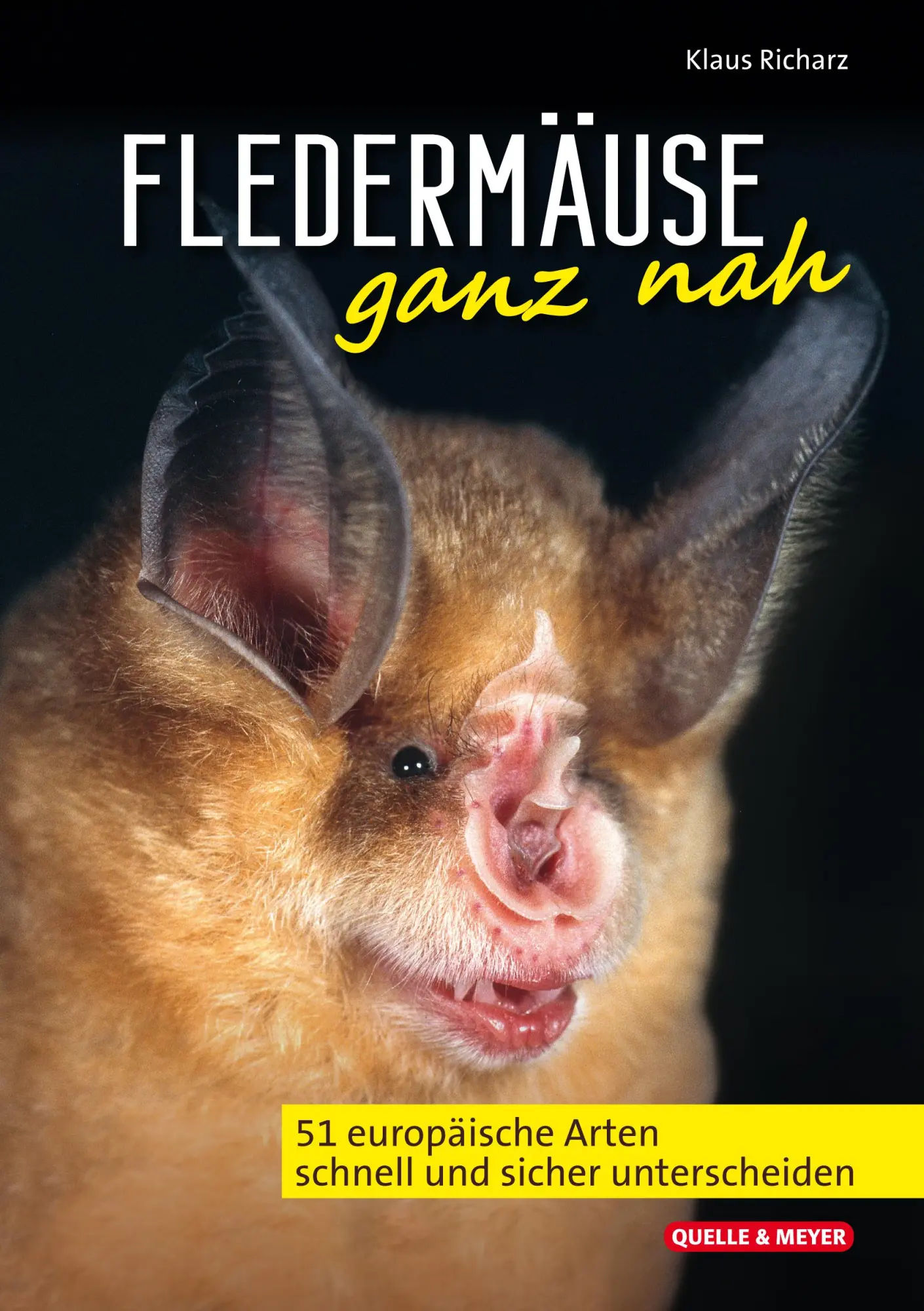 Cover: 9783494018614 | Fledermäuse ganz nah | Klaus Richarz | Taschenbuch | 143 S. | Deutsch