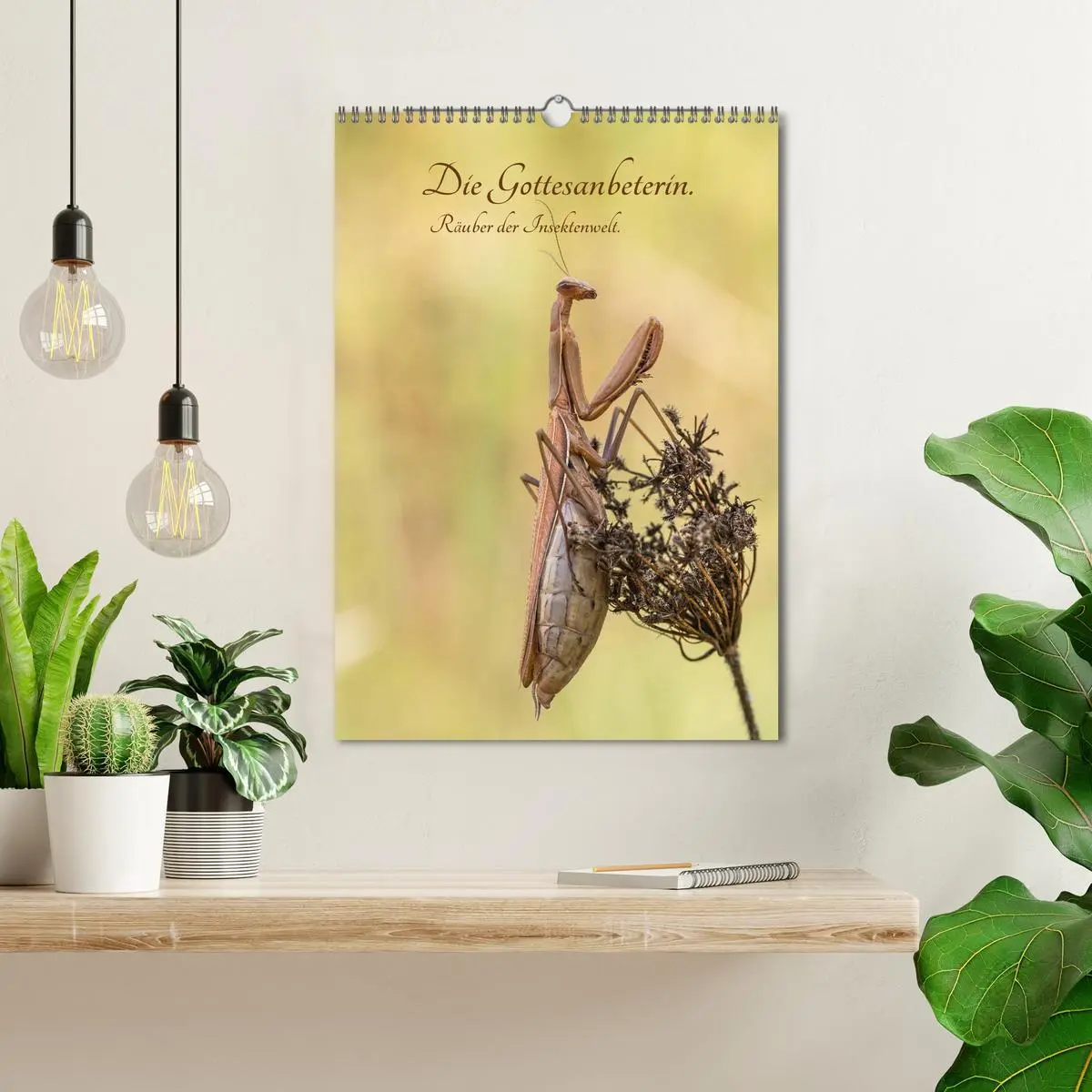 Bild: 9783516408614 | Die Gottesanbeterin. Räuber der Insektenwelt. (Wandkalender 2026...