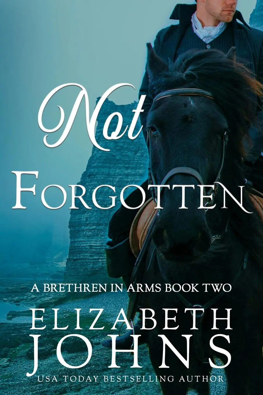 Cover: 9781733958714 | Not Forgotten | Elizabeth Johns | Taschenbuch | Englisch | 2019