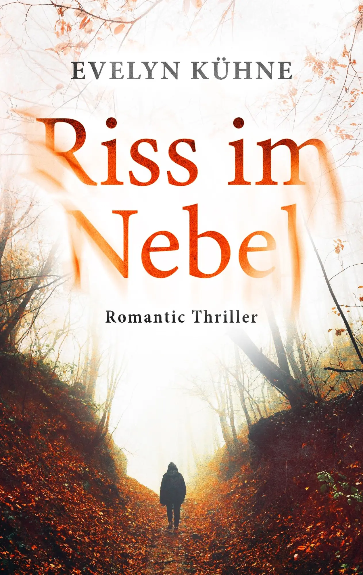 Cover: 9783750418714 | Riss im Nebel | Evelyn Kühne | Taschenbuch | 338 S. | Deutsch | 2019