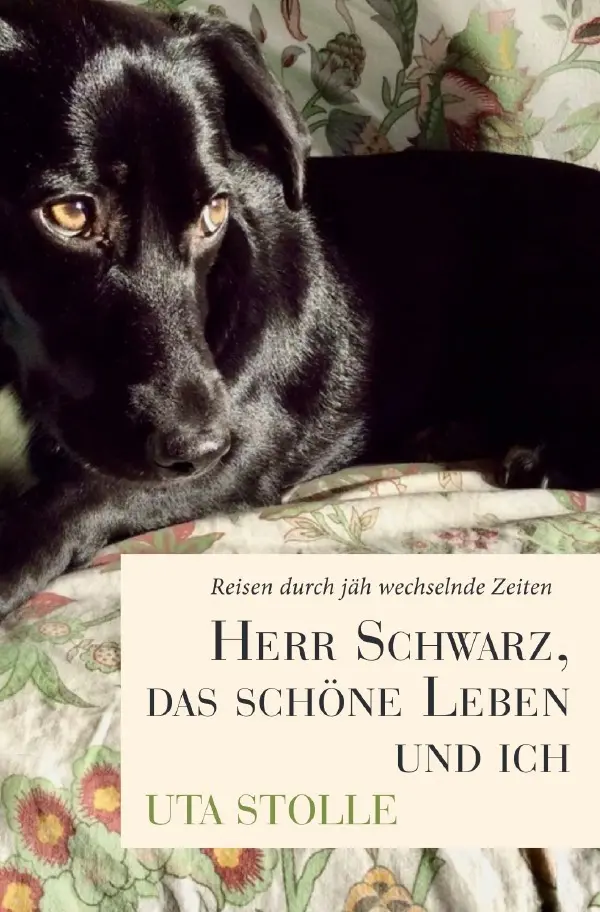 Cover: 9783819748714 | Herr Schwarz, das schöne Leben und ich | Uta Stolle | Taschenbuch