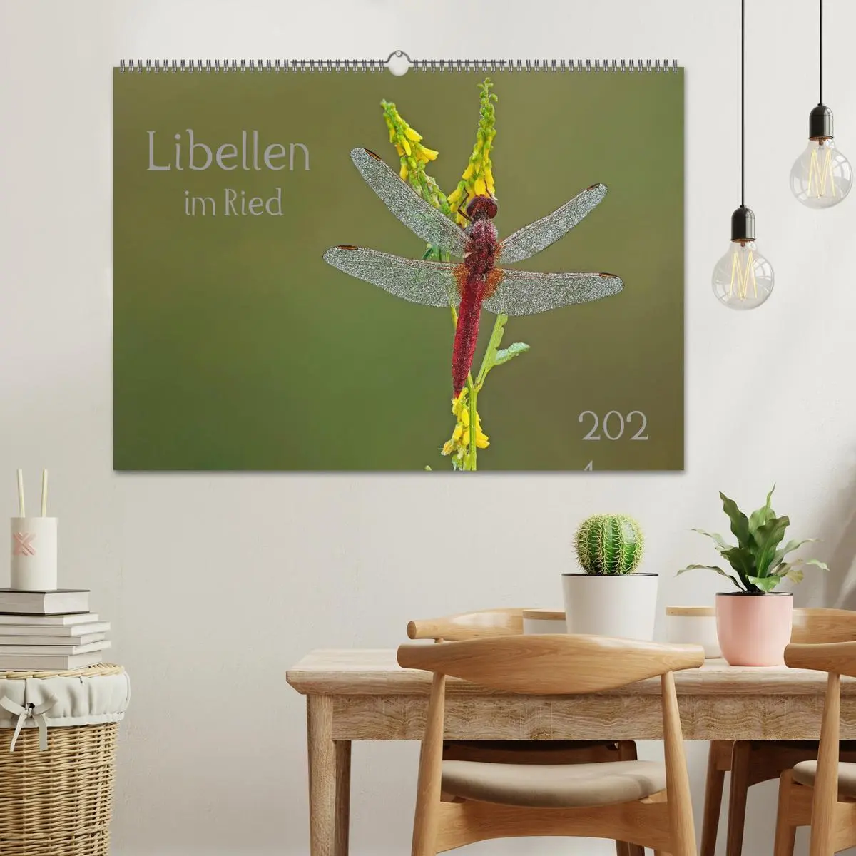 Bild: 9783516008814 | Libellen im Ried (Wandkalender 2026 DIN A2 quer), CALVENDO...