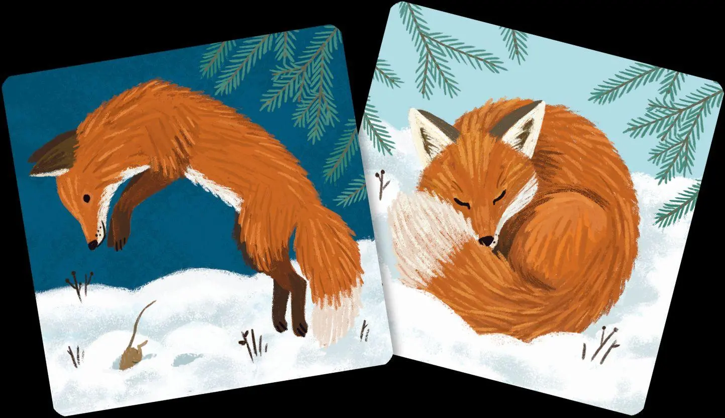 Bild: 4260308348914 | Mein Tag &amp; Nacht-Tiermemo | Pattloch Verlag | Spiel | Schachtel | 2026