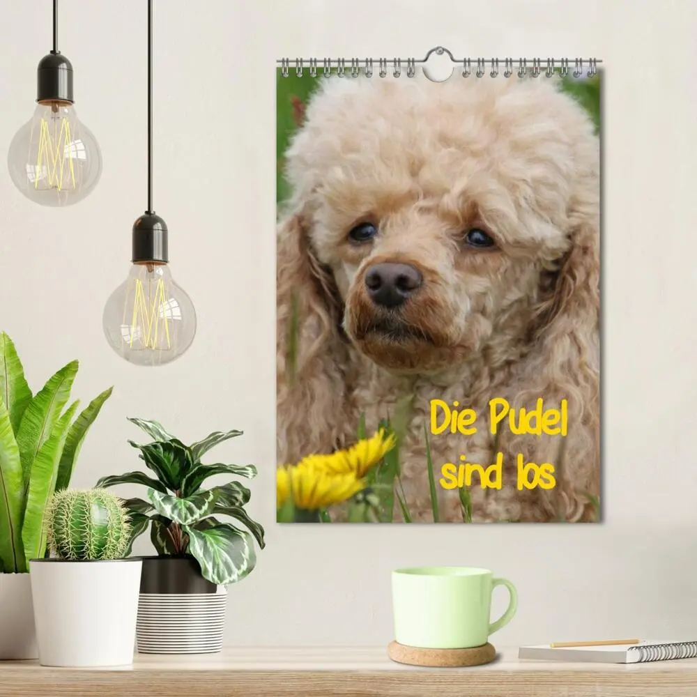 Bild: 9783457078914 | Die Pudel sind los (Wandkalender 2025 DIN A4 hoch), CALVENDO...