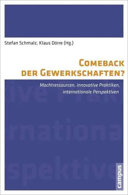 Cover: 9783593398914 | Comeback der Gewerkschaften? | Stefan Schmalz | Taschenbuch | 454 S.