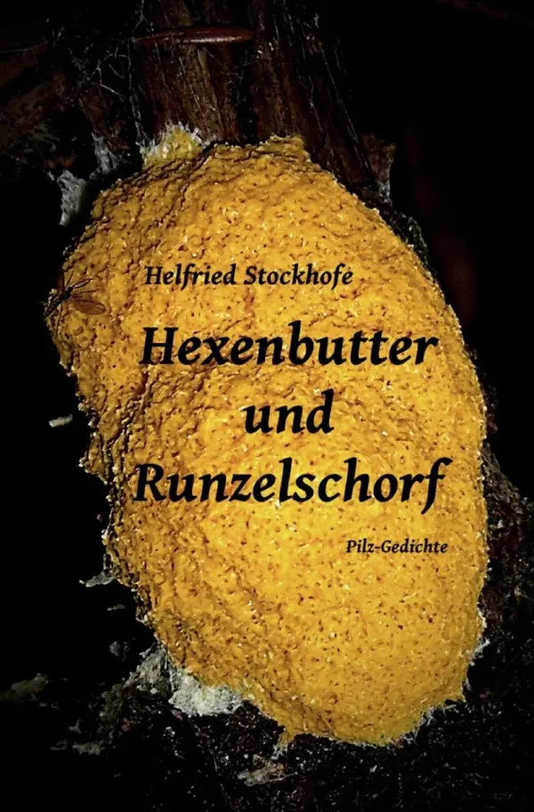 Cover: 9783754148914 | Hexenbutter und Runzelschorf | Pilz-Gedichte | Helfried Stockhofe