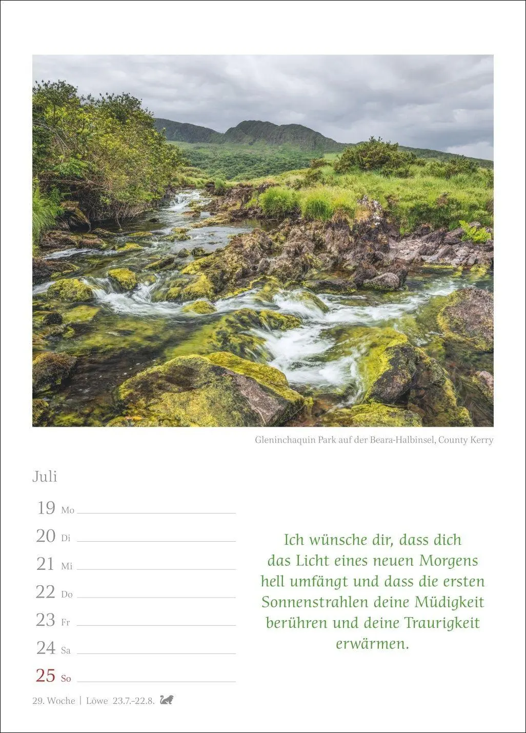 Bild: 9783840038914 | Irische Segenswünsche Wochenkalender 2027 - mit Zitaten | Sarti | 2027