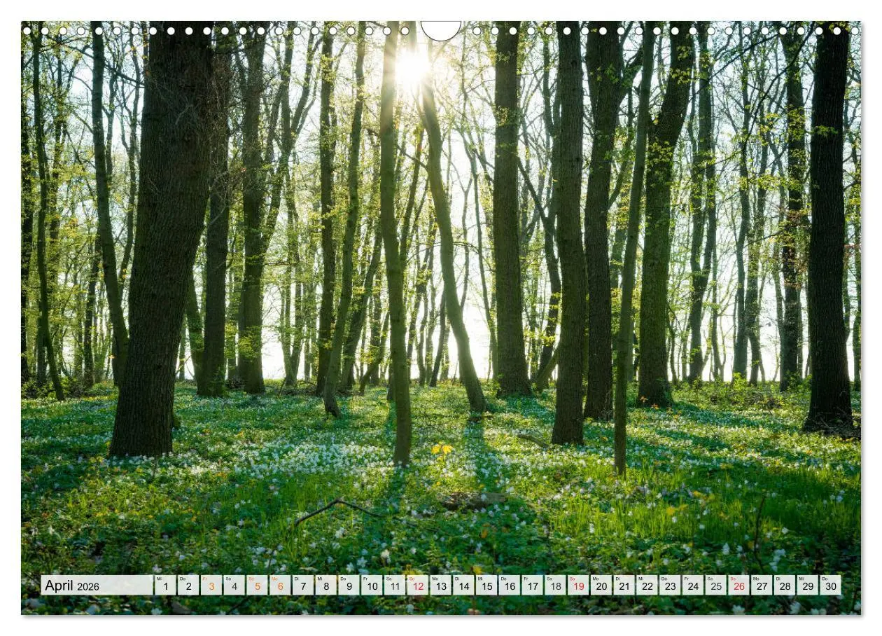 Bild: 9783516059014 | Willkommen im Burgenlandkreis (Wandkalender 2026 DIN A3 quer),...