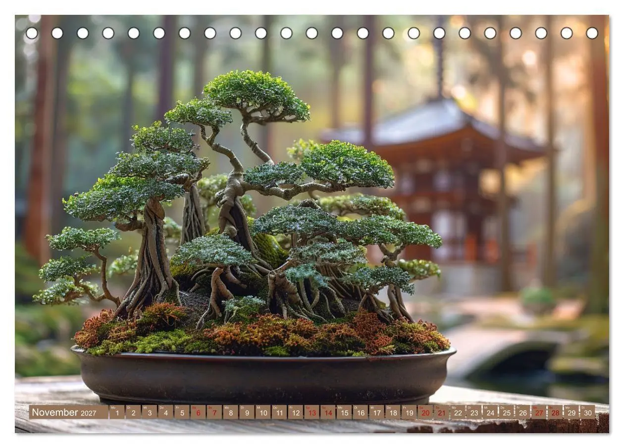 Bild: 9783569149014 | Bonsai meditativ (Tischkalender 2027 DIN A5 quer), CALVENDO...