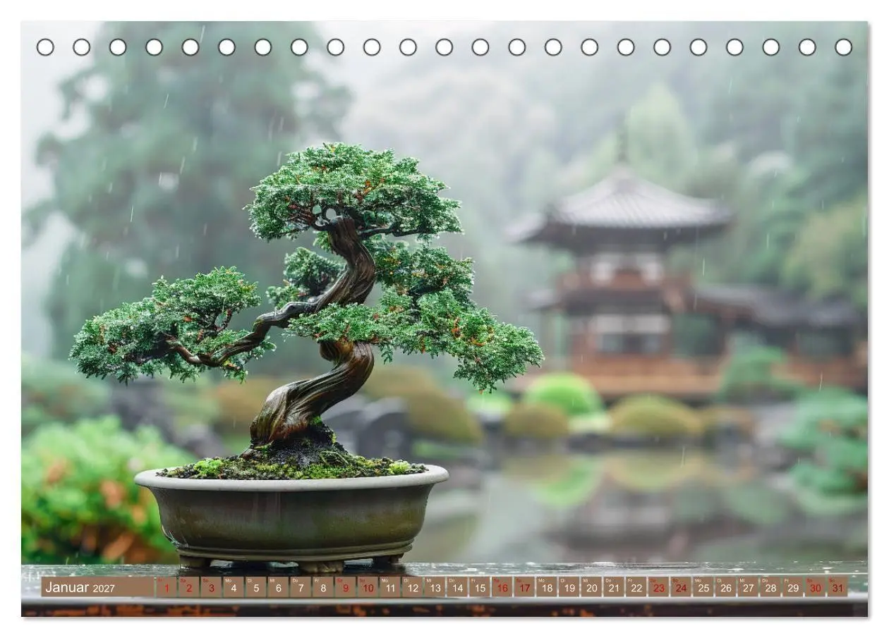 Bild: 9783569149014 | Bonsai meditativ (Tischkalender 2027 DIN A5 quer), CALVENDO...