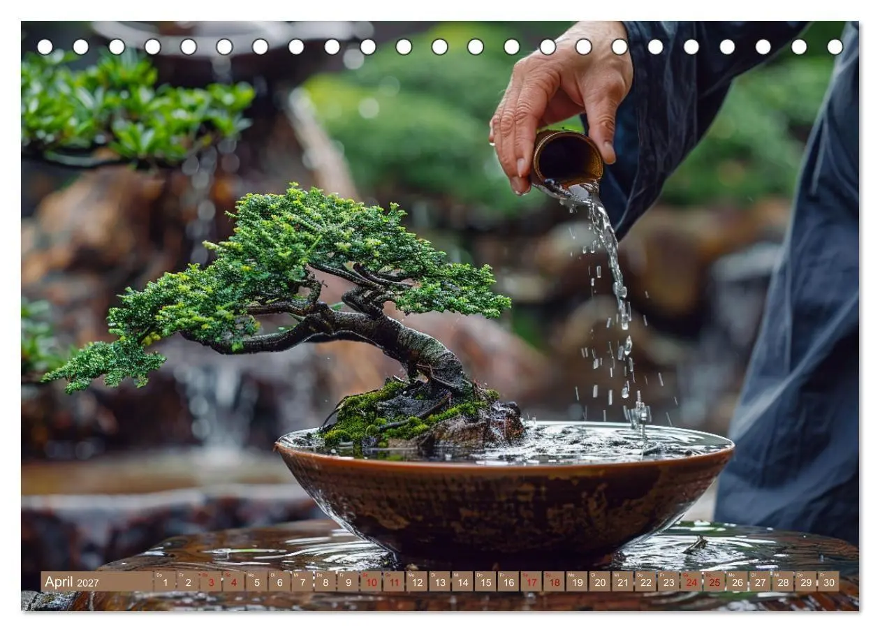 Bild: 9783569149014 | Bonsai meditativ (Tischkalender 2027 DIN A5 quer), CALVENDO...