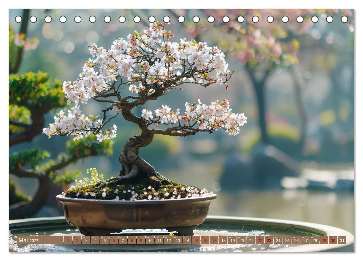 Bild: 9783569149014 | Bonsai meditativ (Tischkalender 2027 DIN A5 quer), CALVENDO...