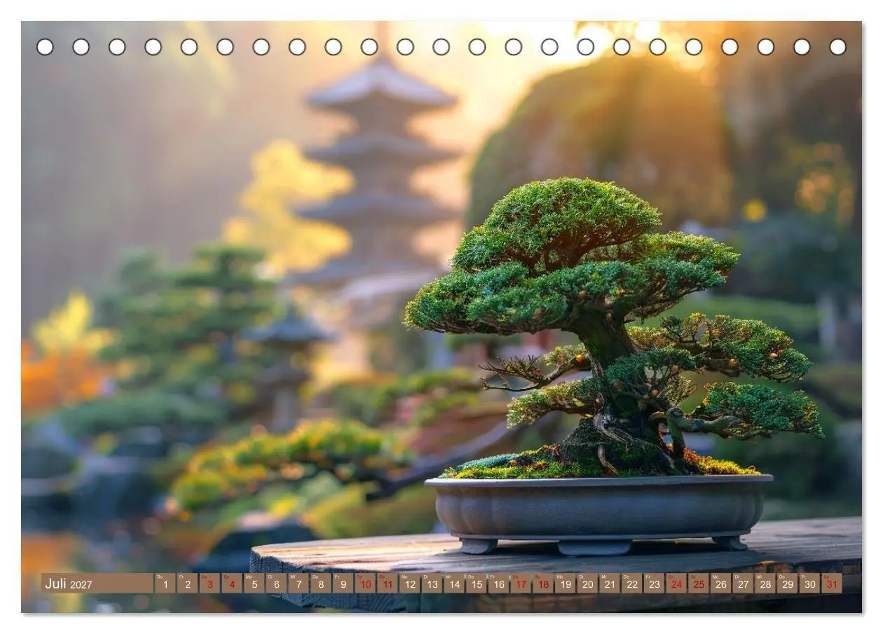 Bild: 9783569149014 | Bonsai meditativ (Tischkalender 2027 DIN A5 quer), CALVENDO...