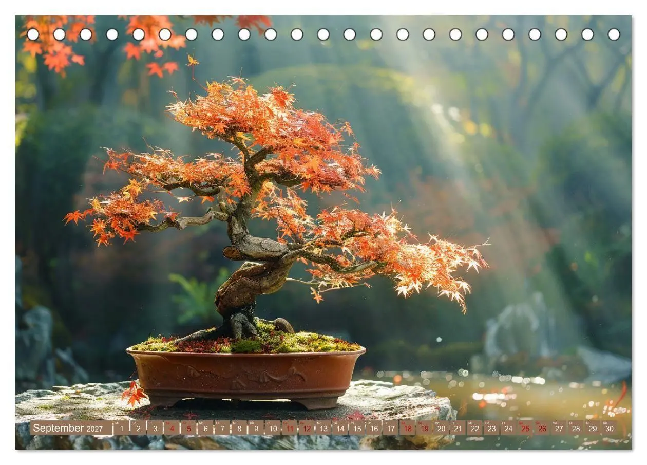 Bild: 9783569149014 | Bonsai meditativ (Tischkalender 2027 DIN A5 quer), CALVENDO...