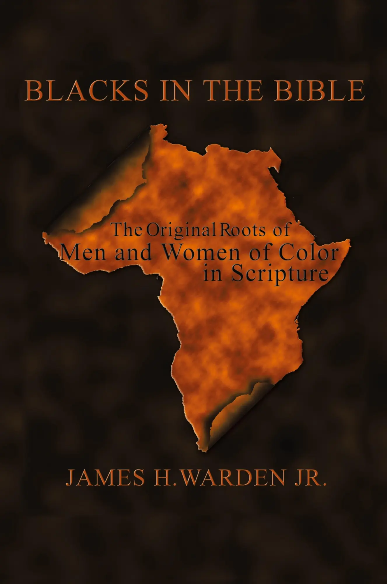 Cover: 9781420899214 | Blacks in the Bible | James H. Warden Jr. | Taschenbuch | Englisch