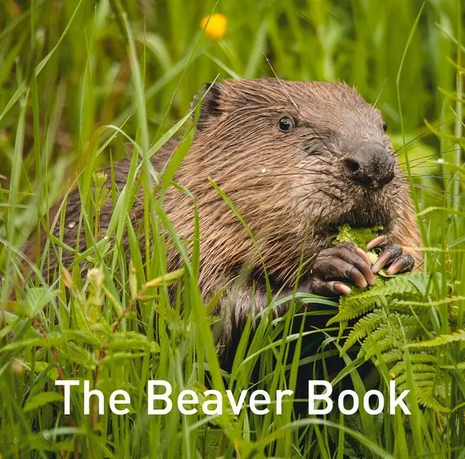 Cover: 9781914079214 | Nature Book Series: The Beaver Book | Hugh Warwick | Buch | Gebunden