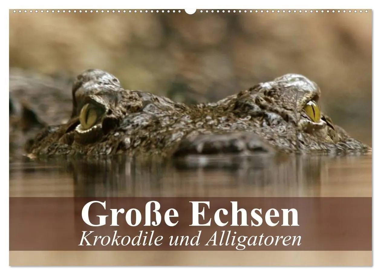 Cover: 9783594019214 | Große Echsen. Krokodile und Alligatoren (Wandkalender 2027 DIN A2...