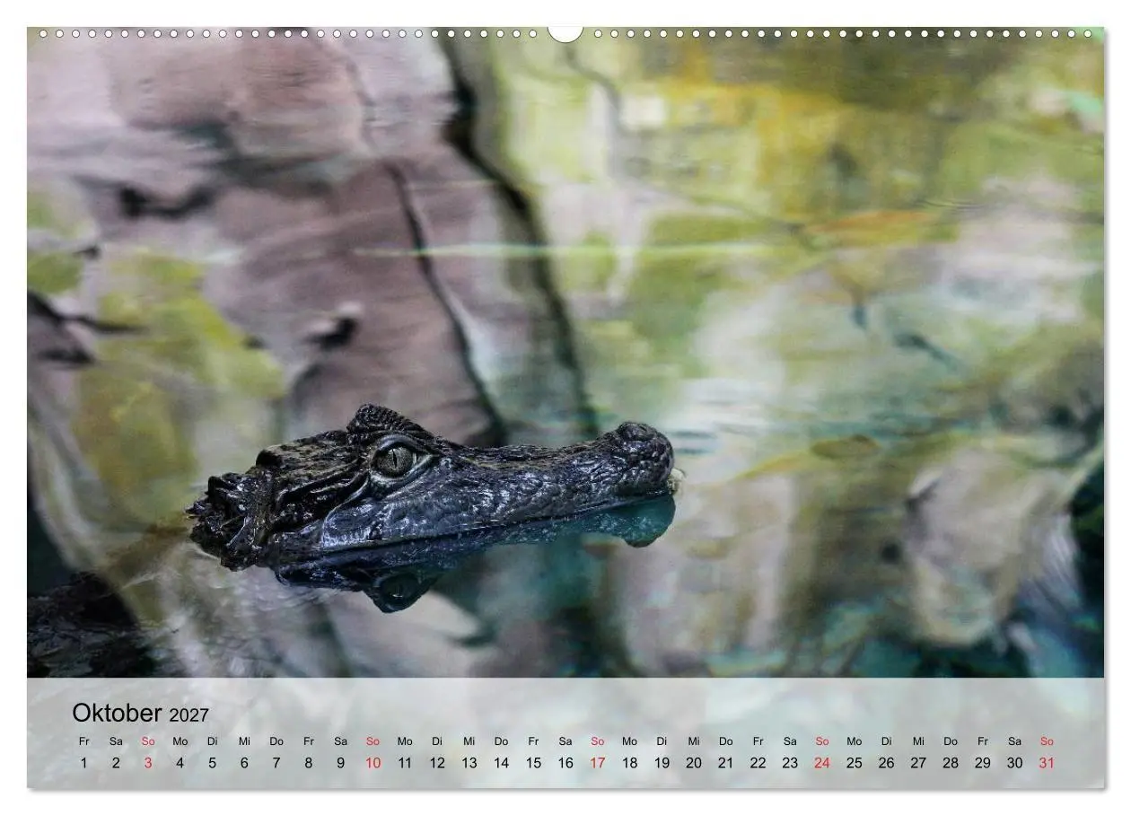 Bild: 9783594019214 | Große Echsen. Krokodile und Alligatoren (Wandkalender 2027 DIN A2...