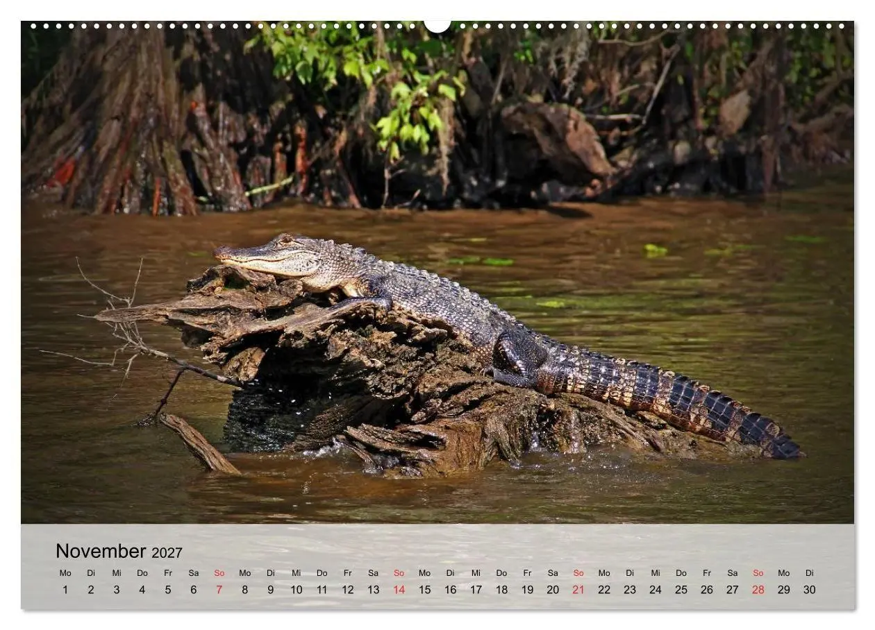 Bild: 9783594019214 | Große Echsen. Krokodile und Alligatoren (Wandkalender 2027 DIN A2...