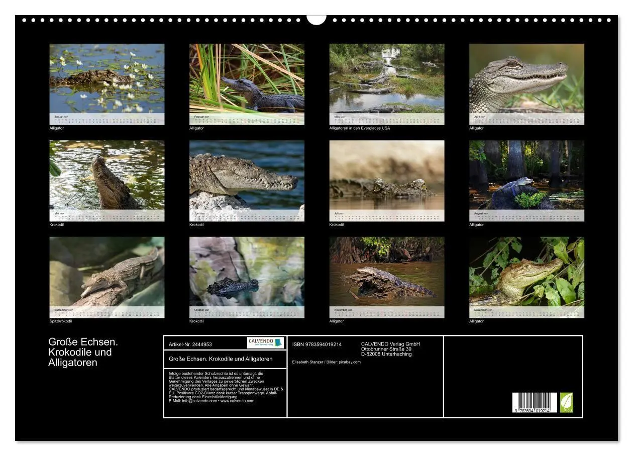 Bild: 9783594019214 | Große Echsen. Krokodile und Alligatoren (Wandkalender 2027 DIN A2...