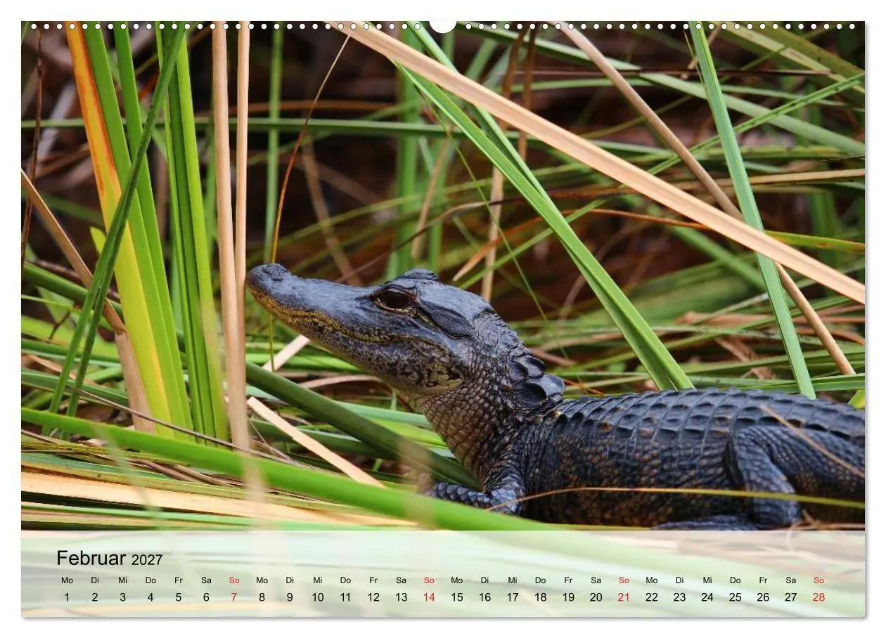 Bild: 9783594019214 | Große Echsen. Krokodile und Alligatoren (Wandkalender 2027 DIN A2...