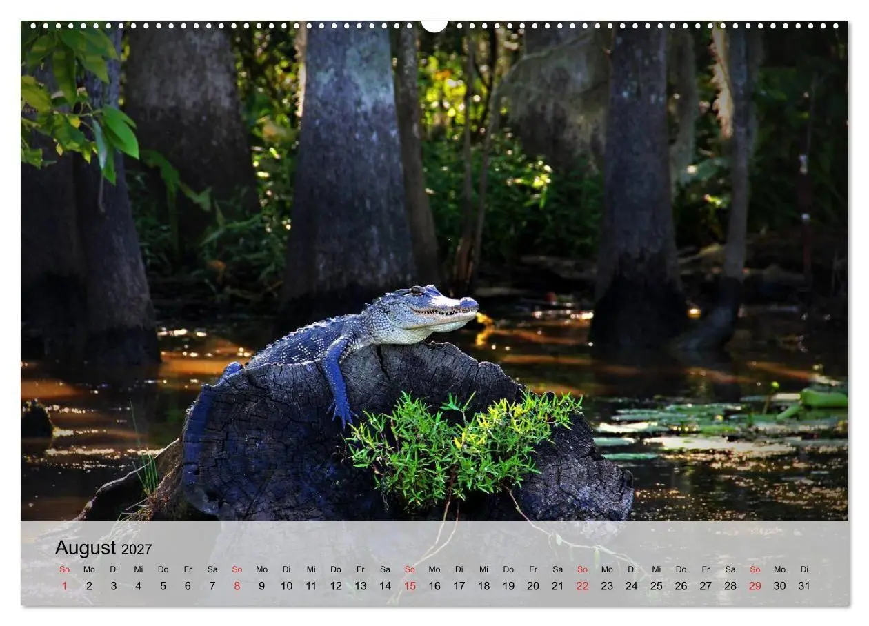 Bild: 9783594019214 | Große Echsen. Krokodile und Alligatoren (Wandkalender 2027 DIN A2...