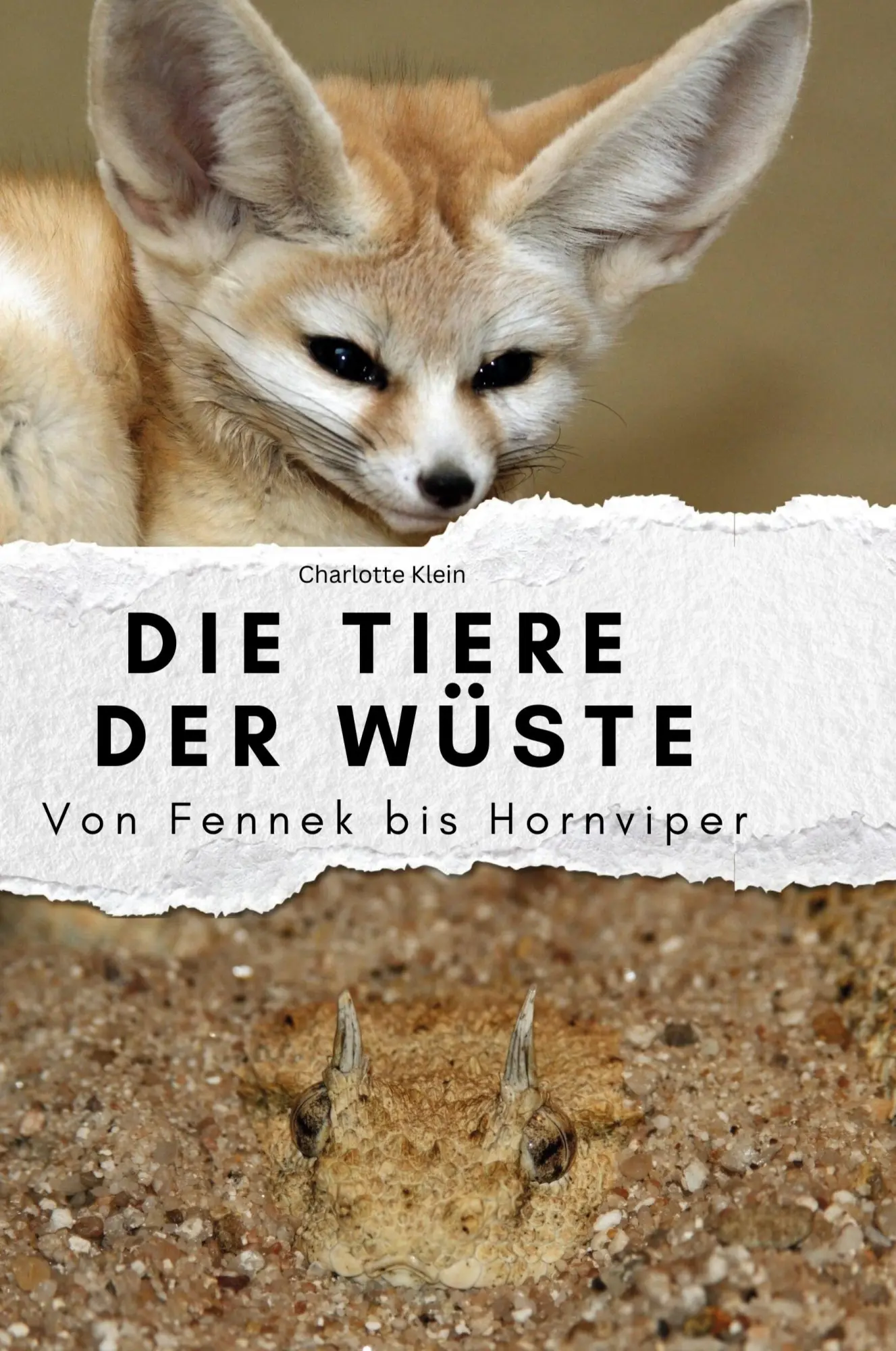 Cover: 9783759139214 | Die Tiere der Wüste | Von Fennek bis Hornviper | Charlotte Klein