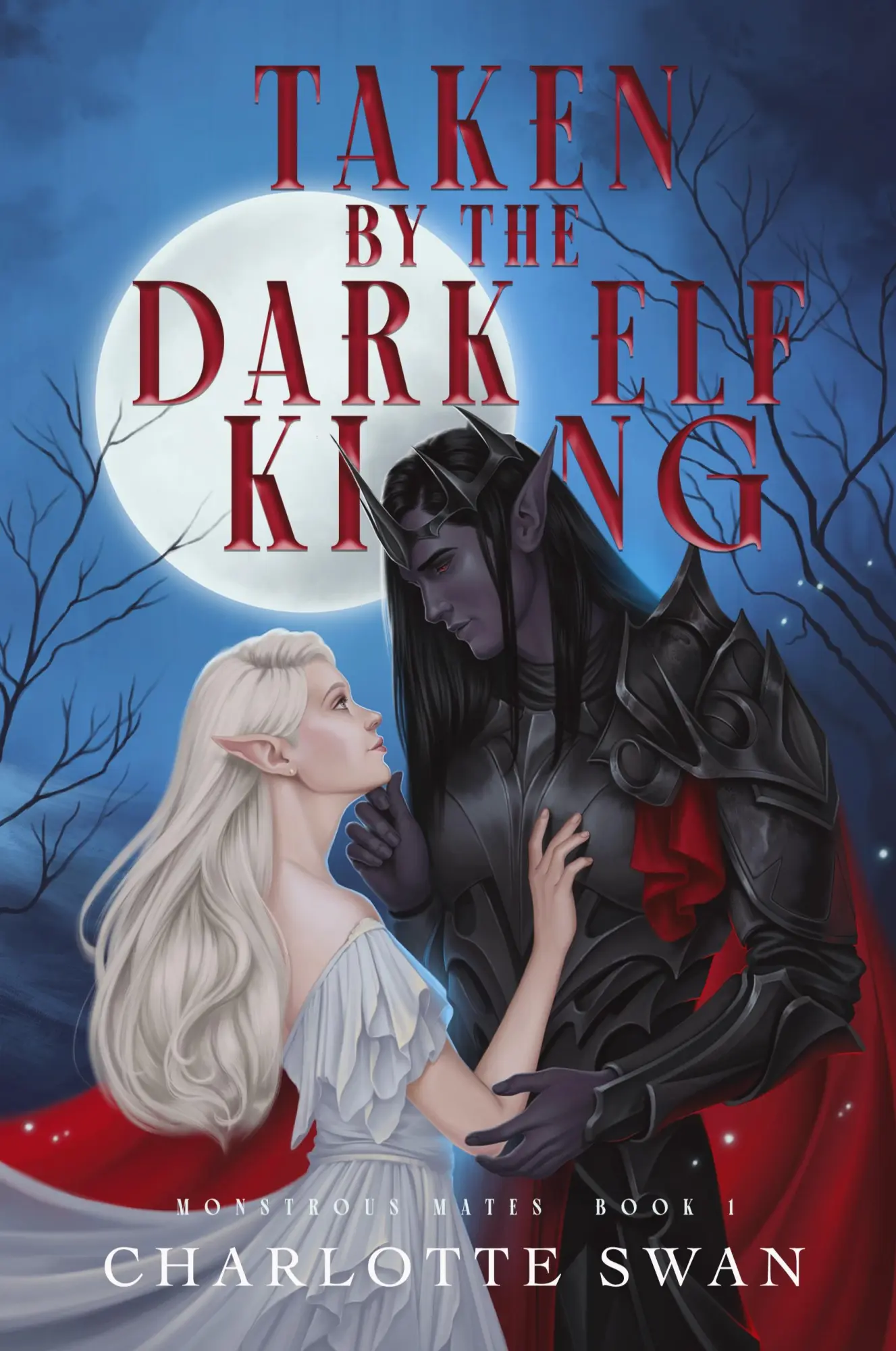 Cover: 9798987019214 | Taken by the Dark Elf King | Charlotte Swan | Taschenbuch | Englisch