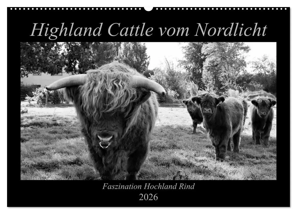 Cover: 9783457939314 | Highland Cattle vom Nordlicht - Faszination Hochland Rind...